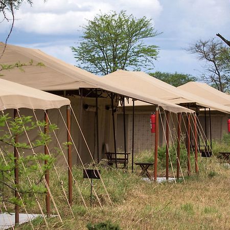 Serengeti Acacia Central Camp 호텔 외부 사진