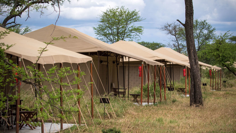 Serengeti Acacia Central Camp 호텔 외부 사진