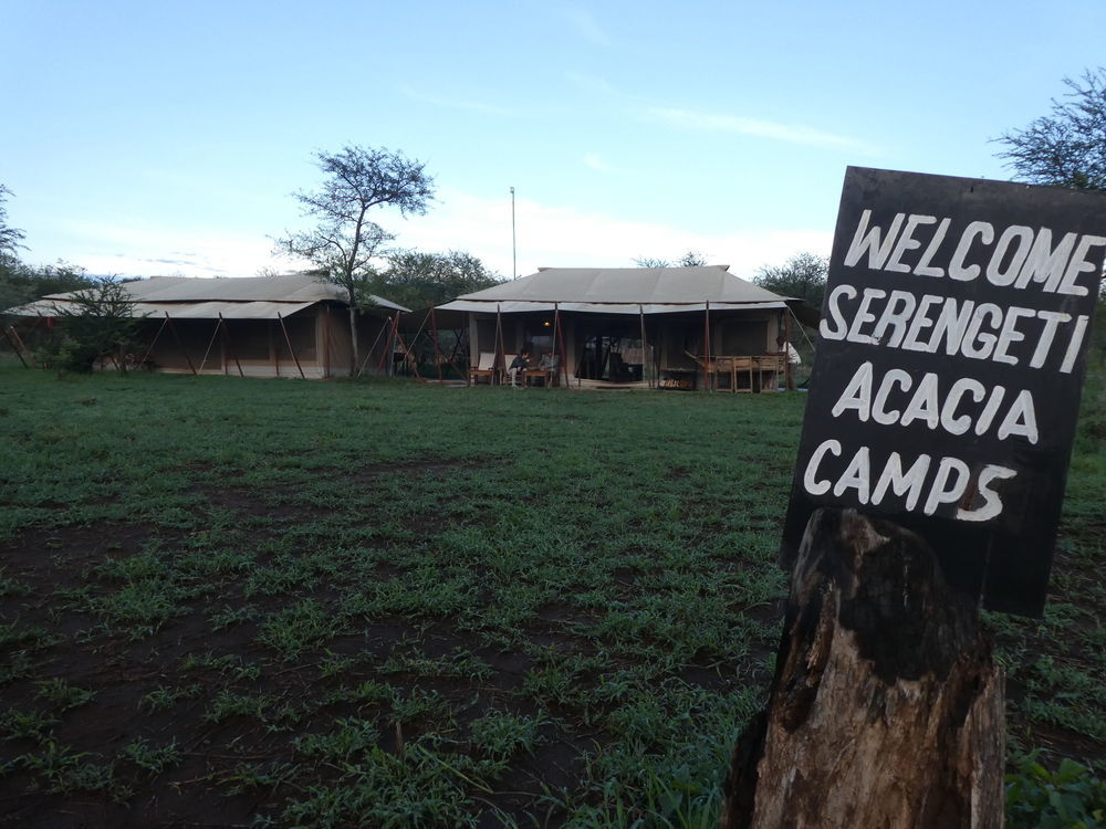 Serengeti Acacia Central Camp 호텔 외부 사진