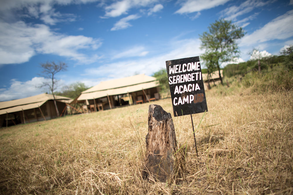 Serengeti Acacia Central Camp 호텔 외부 사진